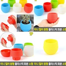 플라스틱화분 옐로우 방울토마토화분 집에서상추키우기 텃밭상자 실내텃밭 빈화분 분갈이화분 귀여운화분 예