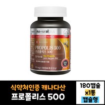 캐나다 프로폴리스 500 510mg 180캡슐 효능 효과 먹는법 30대 40대 50대 60대 남자 여자