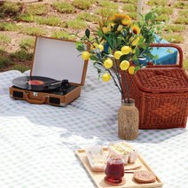 세련된 디자인의 체크무늬 대형 돗자리/캠핑돗자리/옥스퍼드돗자리/피크닉매트, 돗자리 민트 대형