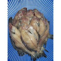 당일조업 팔딱팔딱 주문진 반건조 가자미 당일생산 해풍 국내산 미주구리 1kg 500g + 500g, 1kg / 4-6미 500g x 2팩, 2개