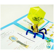 과학실험키트-박테리오파지 (5인용)