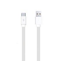 샤오미 케이블 C타입 30cm고속충전+데이터 케이블, C타입30cm
