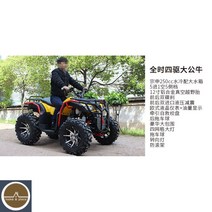산악용 ATV 오프로드카UTV 카트 2인승 4인승, 250CC 사륜구동 황소