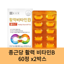 종근당 활력 비타민B 60정 x2개 피로회복