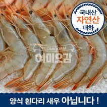 국산 안면도 자연산 대하 왕새우 1kg(20미 내외), 국산 태안 자연산대하 1kg