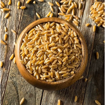 버섯카로틴쌀 최저가로 저렴한 상품 중 판매순위 상위 제품 추천