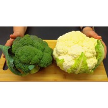제주 한림 컬리플라워 브로콜리 콜리플라워 3kg, 브로콜리3kg