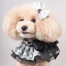 팝앤퍼피 엘리아레이스케이프, S, 블랙