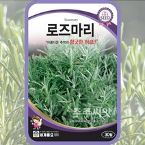 로즈마리씨앗 20립 허브씨 다년생 로즈메리, 단품