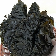 해풍에 말린 완도 햇 미역귀 특상품, 완도 햇 미역귀 425g(1봉)