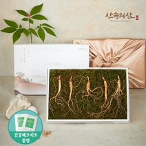 6~10년근 국내산 산양삼 산삼 산양산삼 장뇌삼 장뇌산삼, 8년근 프리미엄 5뿌리 (1상자)