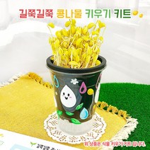 오렌지몰 콩나물 키우기 키트+관찰일지 1062237, 단품