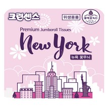 크린센스 뉴욕 꽃무늬 2겹 점보롤300 100m, 16개입, 1개