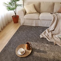 빨아쓰는 샤인 롱파일 샤기 거실 러그 카페트샤인 카페트