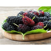 오디잼 오디쨈 오디청 만들기 오디술 오디주 담그기 국내산 토종오디 생과 1kg, 1개
