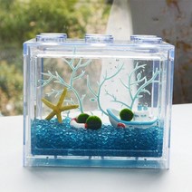 BK수경식물 마리모 애완 반려 식물 1.5-1.6cm, 마리모1.5-1.6cm
