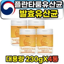락토바실러스플란타룸 발효 김치 유산균 가루 분말 열처리 실온보관 노인 어르신 70대 80대 물에타먹는 마시는 멀티바이오틱스 5세대 파라바이오틱스 유산균사균체 고함량 대용량