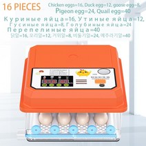 병아리부화기 계란 닭 자동 부화기 새 메추라기 병아리 이중 전체 가금류 터너 농장 부화 도구 개, 16 PCS EGG incubator+US Plug