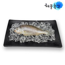 해물총각 제주 참굴비, 1마리, 80g