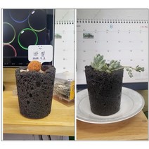 원예 교육 화분 만들기 키트 교육 DIY 창의 교구 방과후 활동 체험학습, 갈색, 스테비아
