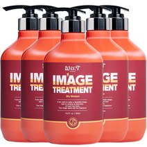 위스티 이미지 극손상 헤어트리트먼트 샤이블라썸 500ml, 5개