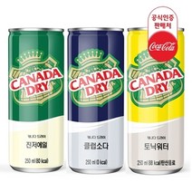 올따옴기획 캐나다드라이 250ml (진저에일12+토닉워터6+소다6), 1개