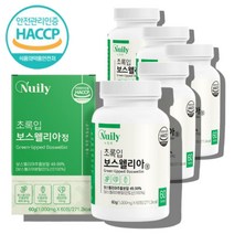 인도 보스웰리아 차세대 보스웰리스 초록잎 초록입 홍합 보수웰리아 보수웰릭스 보스웰릭산 보스웰릭스 추출물 분말 가루, 초록입보스웰리아 60정 x5통