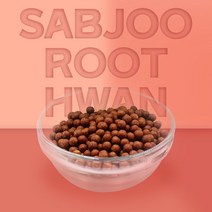 열린약초 백출 삽주뿌리환 창출 백출환 맥아 무씨 나복자, 300g, 1개, 1개