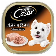 시저캔 (쇠고기와닭고기) 6개/애견통조림 애견간식, 1세이하_퍼피x6개