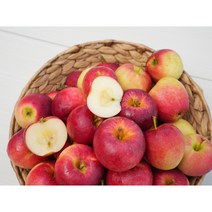 23년 영천 제철수확 루비에스 미니사과, 루비에스_가정용, 1개, 2kg