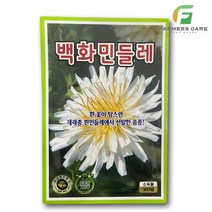 파머스케어 백화민들레100립 - 백화민들레씨앗 민들레씨앗 약초씨앗 꽃 재래종 KS종묘 흰민들레 야채 채소 씨앗, 1개