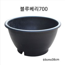 블루베리700 플라스틱화분 대형화분