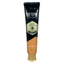 LG생활건강 죽염 명약원 골든프로폴리스 치약 플러스 120g, 1개