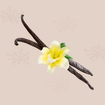 유몬 16cm UP 바닐라빈 버번 파푸아뉴기니산, 1팩, 250g