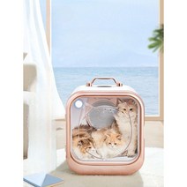 De Ma 애완 동물 건조 상자 고양이 건조기 가정용 상업용 송풍기 개 특수 헤어 드라이어, 골드 대용량63L