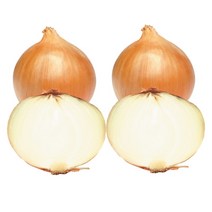 신선하고 아삭한 23년 무안 햇양파, 황토양파 10kg [중/대 요리용], 1개