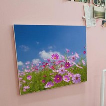 캔버스액자53x45.5 가을코스모스꽃밭.꾸밈, 이미지1