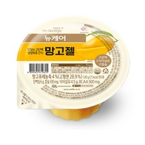 대상웰라이프 뉴케어 망고젤 100gx10개, 단품, 단품