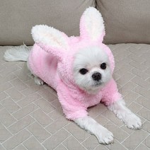 도기코디 토끼보아 후리스 후드티 강아지겨울옷, 핑크