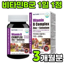 캐나다 남자 여성 멀티 종합 바이타민 비타민 비 비군 비원 B1 B2 B3 B5 B6 B7 B12 VITAMIN B COMPLEX 컴플렉스 콤플렉스 복합체 복합제 영양제 추천, 1박스(3개월분)