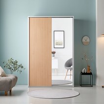 [퍼니럭스리빙] 리브 1100 슬라이드 옷장 (거울형) A타입, 리브 1100 거울형(A) - 그레이