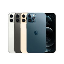 Apple 아이폰 12 Pro 자급제, 256GB, 그라파이트