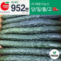 <해돋이농산> 국산 가시오이 청오이 못난이오이 3kg 5kg, 3kg(크기마다다름)” class=”wr-img”></a></div></p></div></p></div></p></div><div class=