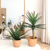 아가베 아테누아타 식물 조화 나무 인조 화분 테킬라 용설란 2size, 45cm