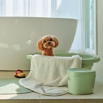 [반려동물목욕세트] 핏펫 헤이테일 목욕 세트 모음 욕조 욕실 의자 매트 타올, 헤이테일 폴더블 욕조