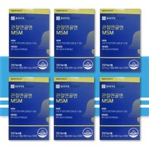 종근당 MSM 식이유황 MSN 관절 연골 엠에스엠 6박스