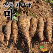 안동 최고급 장마 산마 햇마 2kg 5kg 산지직송 국내산 참마 생마, 2kg 산마 알뜰 못난이, 1개