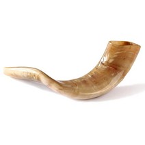 이스라엘 양각 뿔 나팔 shofar 28~32인치 (반광택)
