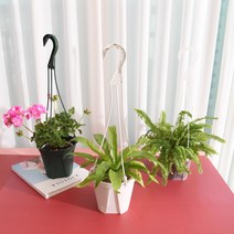 일본카네야 정품 플라스틱슬릿 화분 슬릿분플분, 화이트