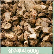 푸들 중국산 삽주뿌리 백출 약초 삽주차 삽주술 건조 600g (7564416), 기본